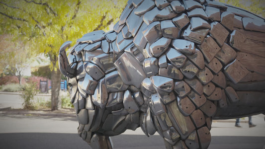 Downtown Grand Junction Fall Buffalo